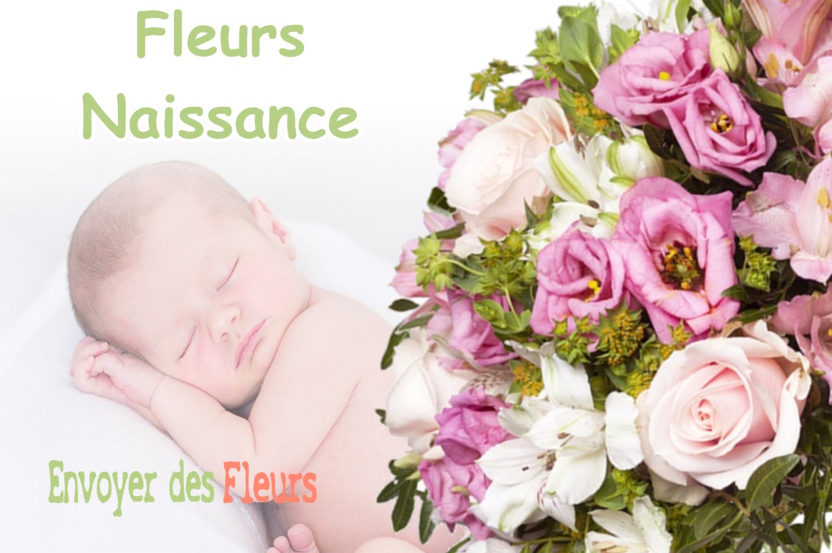 lIVRAISON FLEURS NAISSANCE à LE-FRENEY-D-OISANS